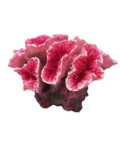 Artificial Saltwater Coral Plant - Paws and Pats