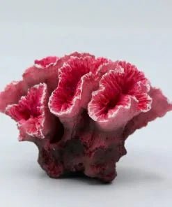 Artificial Saltwater Coral Plant - Paws and Pats