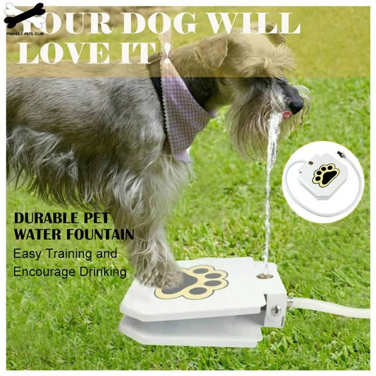 Automatic Dog Drinking Fountain - Paws and PatsPet Water Dispenser