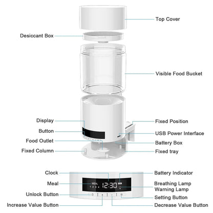 Automatic Fish Feeder - Paws and Pats