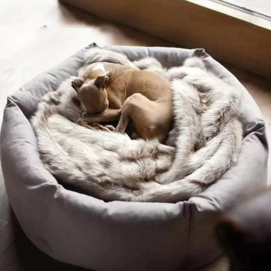 Premium Cozy Paws Calming Dog Bed - Paws and PatsDog Bed